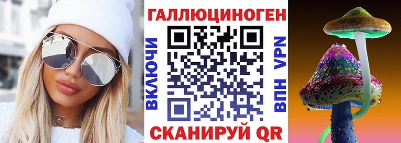 продажа наркотиков Астрахань Псилоцибиновые грибы GOLDEN TEACHER