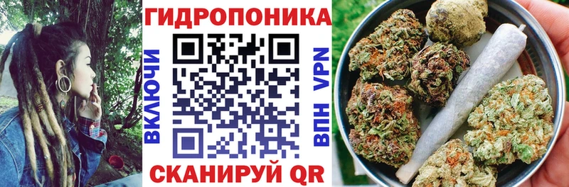 Каннабис планчик  купить наркотик  Астрахань 