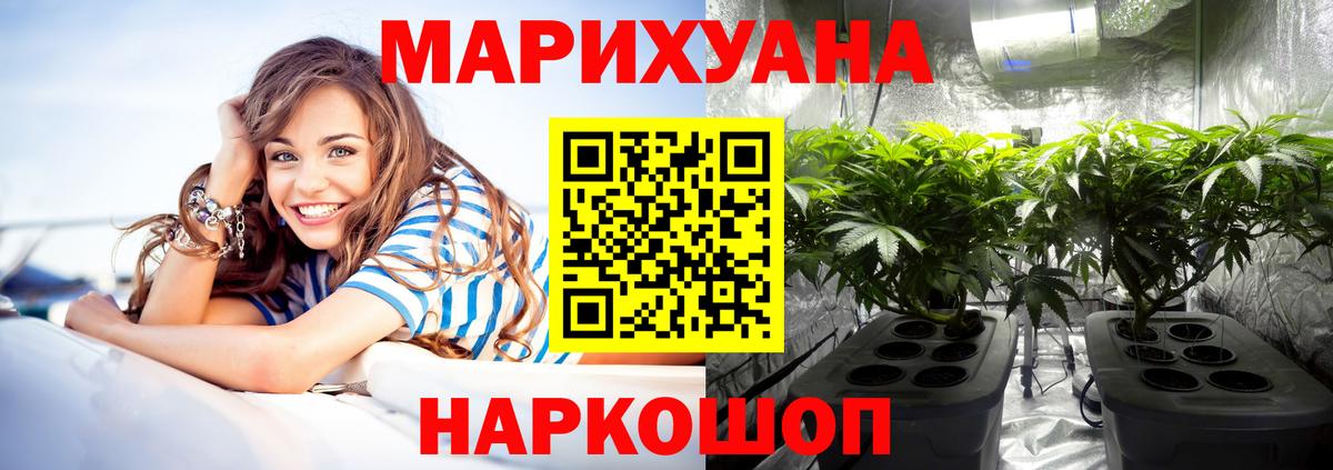 Астрахань  Бошки марихуана планчик  МАРИХУАНА MAZAR  Вход с VPN 